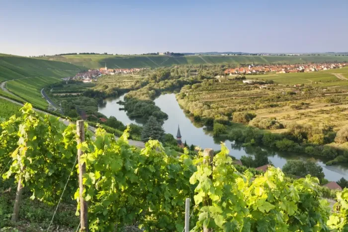 Framed Print : Vine village Escherndorf and Vogelsburg Castle, Volkacher Mainschleife Loop, Main River Framed Print : Vine village Escherndorf and Vogelsburg Castle, Volkacher Mainschleife Loop, Main River