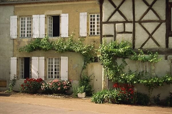 Vines and roses on the front of a house at Verneuil en Courbonnais, Allier