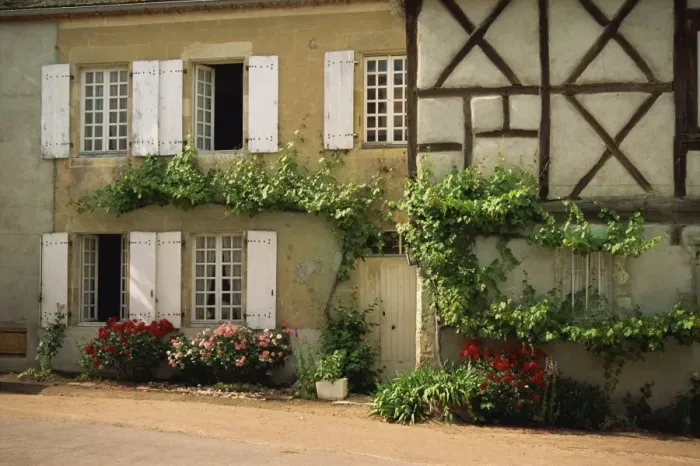 Framed Print : Vines and roses on the front of a house at Verneuil en Courbonnais, Allier Framed Print : Vines and roses on the front of a house at Verneuil en Courbonnais, Allier