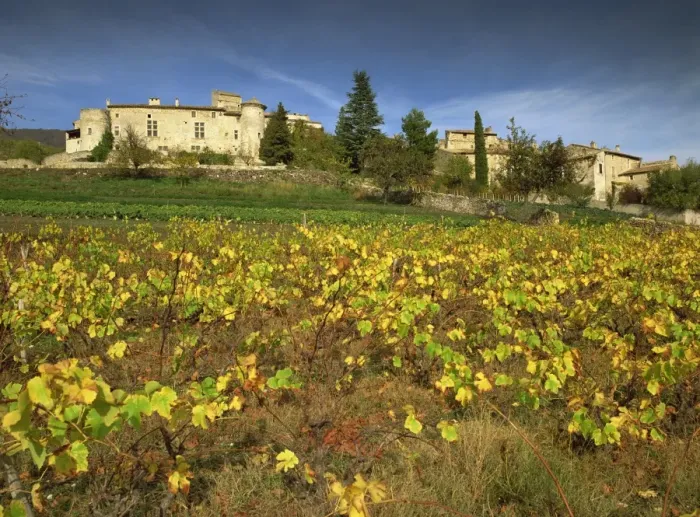Framed Print : Vines in front of the village of Le Poet Laval, Drome, Rhone-Alpes, France, Europe Framed Print : Vines in front of the village of Le Poet Laval, Drome, Rhone-Alpes, France, Europe