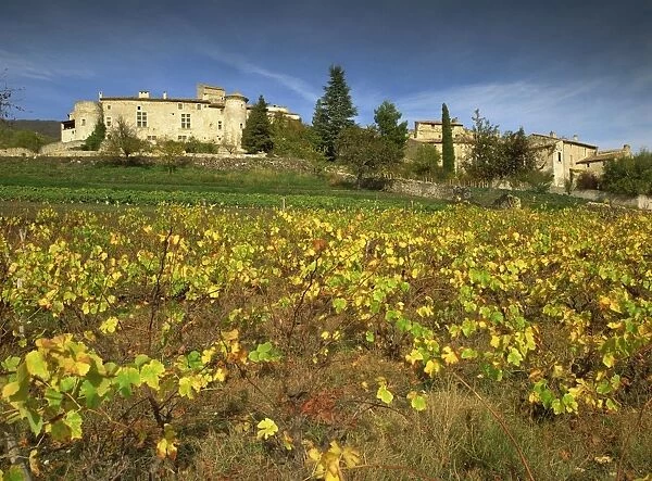 Vines in front of the village of Le Poet Laval, Drome, Rhone-Alpes, France, Europe