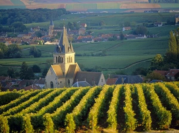 Vineyard and church, Ville Dommange, Champagne, France