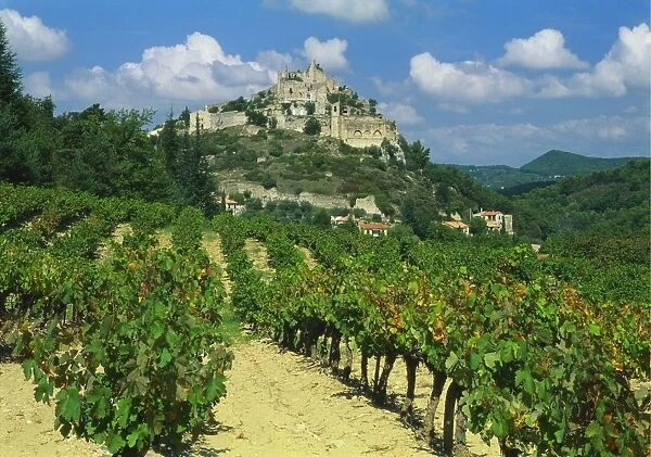 Vineyard, Entrechaux, Vaucluse, France