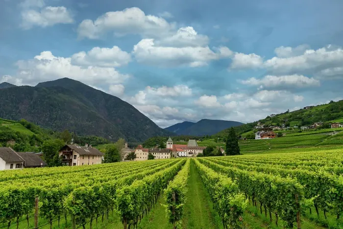 Framed Print : Vineyard around Neustift convent, in summer. Neustift Convent, Brixen, South Tyrol, Italy, Europe Framed Print : Vineyard around Neustift convent, in summer. Neustift Convent, Brixen, South Tyrol, Italy, Europe