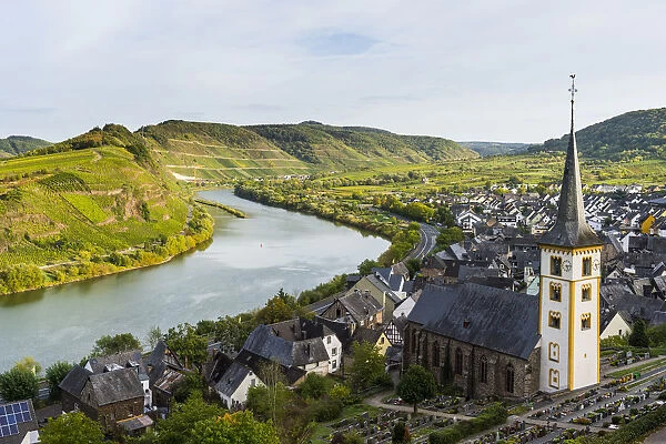 Vineyards above Bremm on the Moselle river, Germany