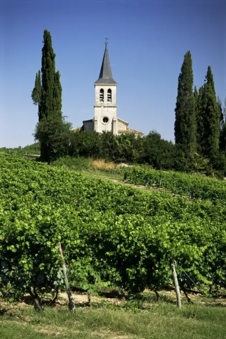 Framed Print : Vineyards and church, near Castelnau Monrater, Lot, Midi-Pyrenees, France, Europe Framed Print : Vineyards and church, near Castelnau Monrater, Lot, Midi-Pyrenees, France, Europe