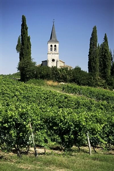 Vineyards and church, near Castelnau Monrater, Lot, Midi-Pyrenees, France, Europe