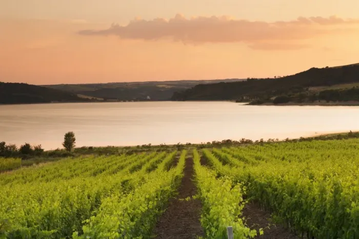 Framed Print : Vineyards at Lago di Corbara Lake at sunset, Perugia District, Umbria, Italy, Europe Framed Print : Vineyards at Lago di Corbara Lake at sunset, Perugia District, Umbria, Italy, Europe