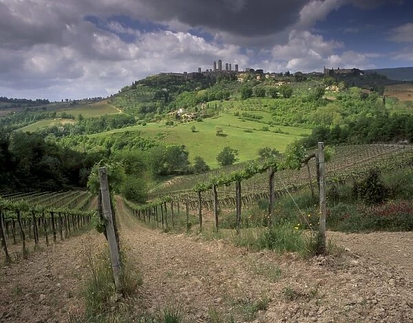 Vineyards and the medivel town of San Gimignano delle belle Torri