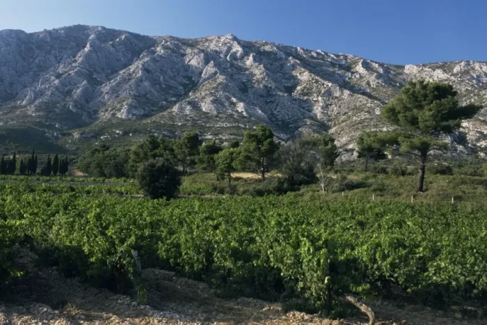 Framed Print : Vineyards and Montagne Ste. Victoire, near Aix-en-Provence, Bouches-du-Rhone Framed Print : Vineyards and Montagne Ste. Victoire, near Aix-en-Provence, Bouches-du-Rhone
