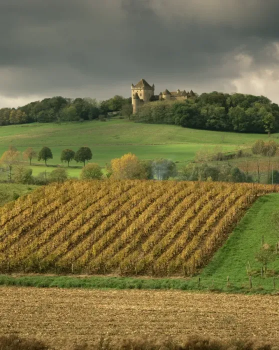 Framed Print : Vineyards near Lons le Saunier, Jura, Rhone Alpes, France, Europe Framed Print : Vineyards near Lons le Saunier, Jura, Rhone Alpes, France, Europe