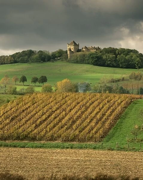 Vineyards near Lons le Saunier, Jura, Rhone Alpes, France, Europe