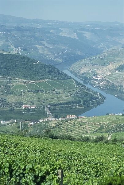 Vineyards near Pinhao