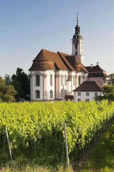 Vineyards and pilgrimage church of Birnau Abbey, Unteruhldingen, Lake Constance, Baden Wurttemberg, Germany, Europe