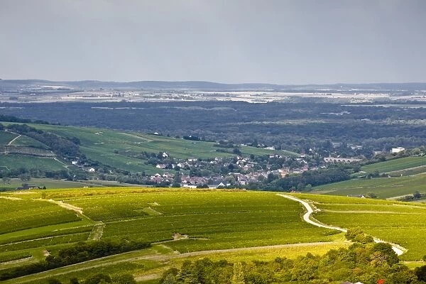 The vineyards of Sancerre under a passing storm at the end of summer, Cher, Centre, France, Europe