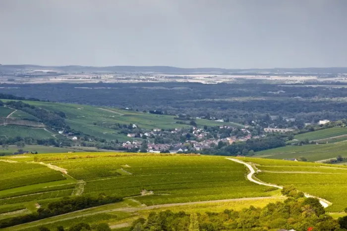 Framed Print : The vineyards of Sancerre under a passing storm at the end of summer, Cher, Centre, France, Europe Framed Print : The vineyards of Sancerre under a passing storm at the end of summer, Cher, Centre, France, Europe