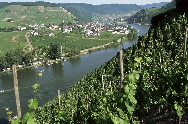 Vineyards on slopes above the Mosel River