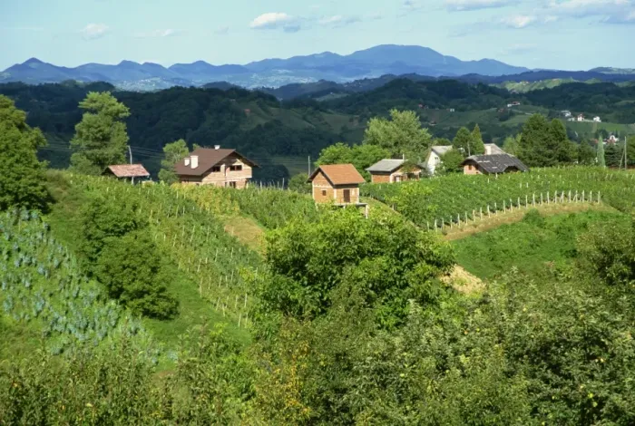 Framed Print : Vineyards below small houses, with hills in the background in the Zagorje region of Croatia Framed Print : Vineyards below small houses, with hills in the background in the Zagorje region of Croatia