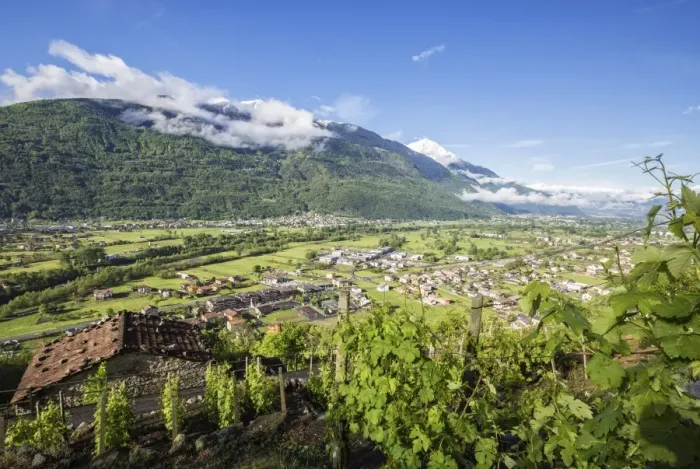 Framed Print : Vineyards in spring with the village of Traona in the background, Province of Sondrio Framed Print : Vineyards in spring with the village of Traona in the background, Province of Sondrio