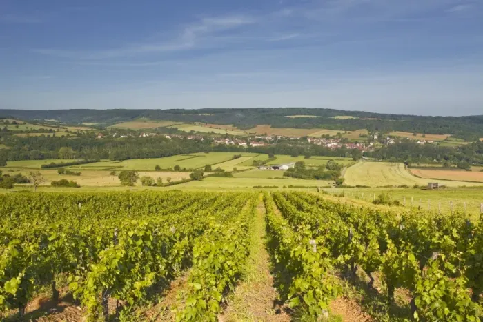 Framed Print : Vineyards above the village of Asquin in the Yonne area of Burgundy, France, Europe Framed Print : Vineyards above the village of Asquin in the Yonne area of Burgundy, France, Europe