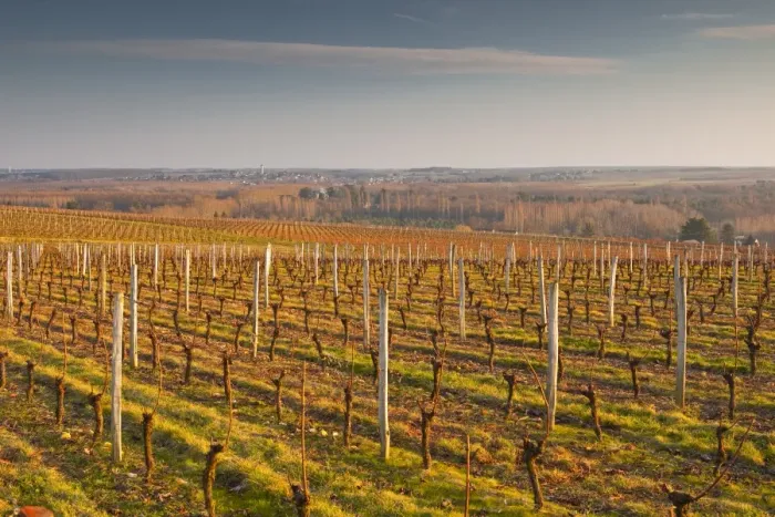 Framed Print : Vineyards above the village of Chenonceaux, Loire Valley, France, Europe Framed Print : Vineyards above the village of Chenonceaux, Loire Valley, France, Europe