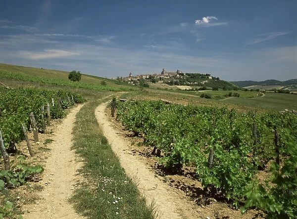 Vineyards with village in distance, Vezeley, Burgundy, France, Europe