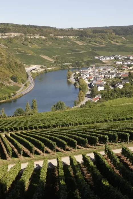 Framed Print : Vineyards and village of Machtum, Mosel Valley, Luxembourg, Europe Framed Print : Vineyards and village of Machtum, Mosel Valley, Luxembourg, Europe