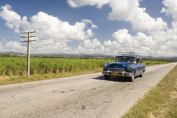 A vintage 1950s American Buick driving along a road through fields of sugar cane in Sancti Spiritus, Cuba, West Indies