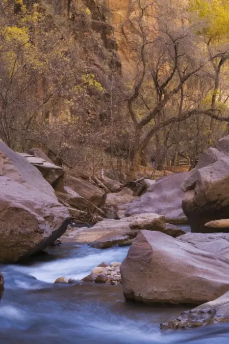 Framed Print : Virgin River, Riverside Walk, Zion National Park, Utah, United States of America Framed Print : Virgin River, Riverside Walk, Zion National Park, Utah, United States of America