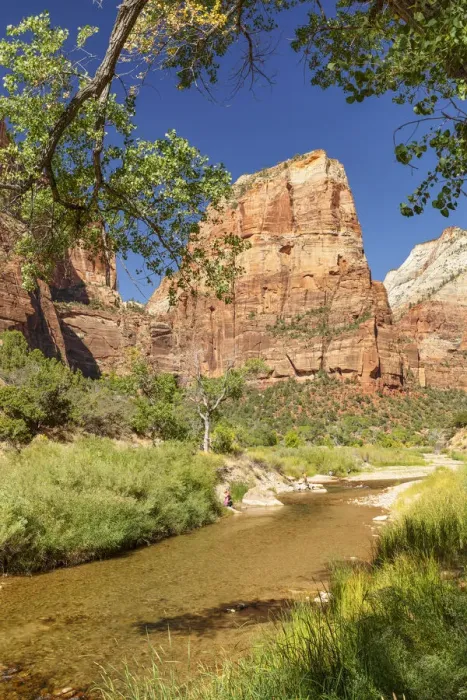 Framed Print : Virgin River und Angels Landing, Zion National Park, Colorado Plateau, Utah Framed Print : Virgin River und Angels Landing, Zion National Park, Colorado Plateau, Utah