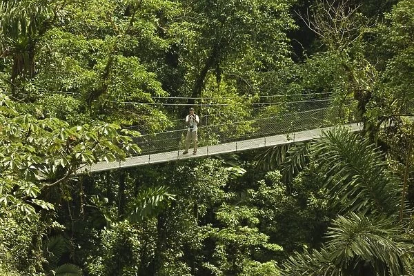 Visitor at Arenal Hanging Bridges where rainforest canopy is accessed via walkways, La Fortuna, Alajuela Province, Costa Rica, Central America