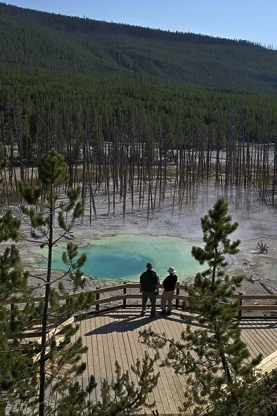 Visitors at Cistern Spring, Norris Geyser Basin, Yellowstone UNESCO World Heritage Site, Wyoming, United States of America, North America