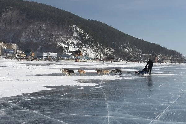 Visitors enjoying dog sledding on the ice in front of the village of Listvyanka, Irkutsk Oblast, Siberia, Russia, Eurasia