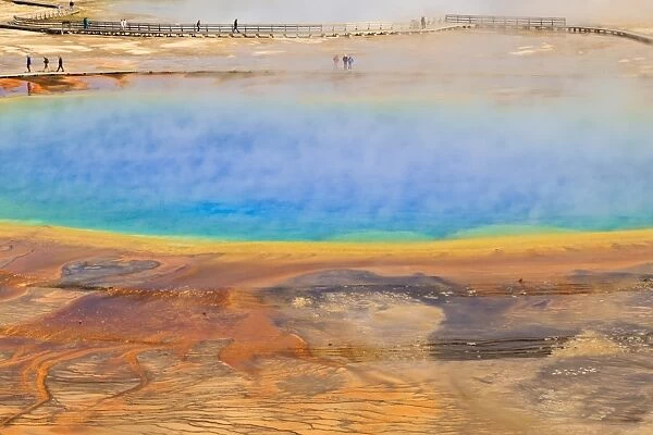 Visitors, steam and vivid colours, Grand Prismatic Spring, Yellowstone National Park, UNESCO World Heritage Site, Wyoming, United States of America, North America