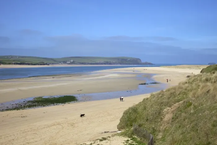 Framed Print : Visitors and tourists walking dogs on beach at Camel estuary near Rock Framed Print : Visitors and tourists walking dogs on beach at Camel estuary near Rock