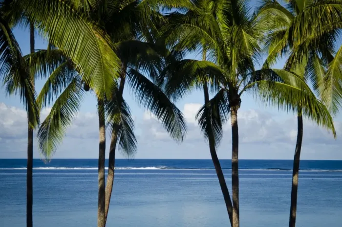 Framed Print : Viti Levu, Fiji, Melanesia, Oceania, Pacific Islands, Pacific Framed Print : Viti Levu, Fiji, Melanesia, Oceania, Pacific Islands, Pacific