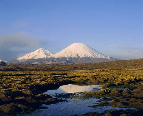 Volcan Parinacota and Volcan Pomerape, Lauca National Park, Chile, South America