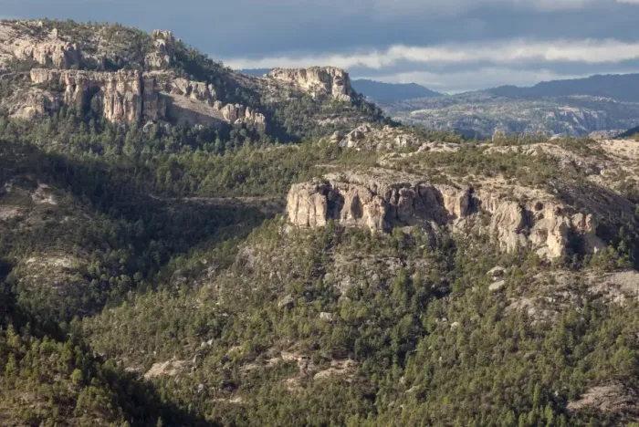 Framed Print : Volcanic plateau of Sierra Tarahumara, above Copper Canyon, Chihuahua, Mexico, North