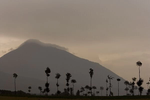 Volcano in the Virunga Mountains in the Congo, Rwanda, Africa