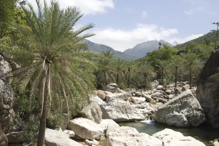 Framed Print : Wadi Ayhaft, Hagghir Mountains, Socotra Island, Yemen, Middle East Framed Print : Wadi Ayhaft, Hagghir Mountains, Socotra Island, Yemen, Middle East