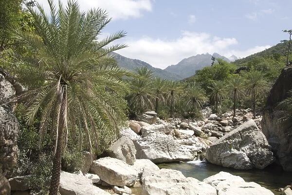 Wadi Ayhaft, Hagghir Mountains, Socotra Island, Yemen, Middle East