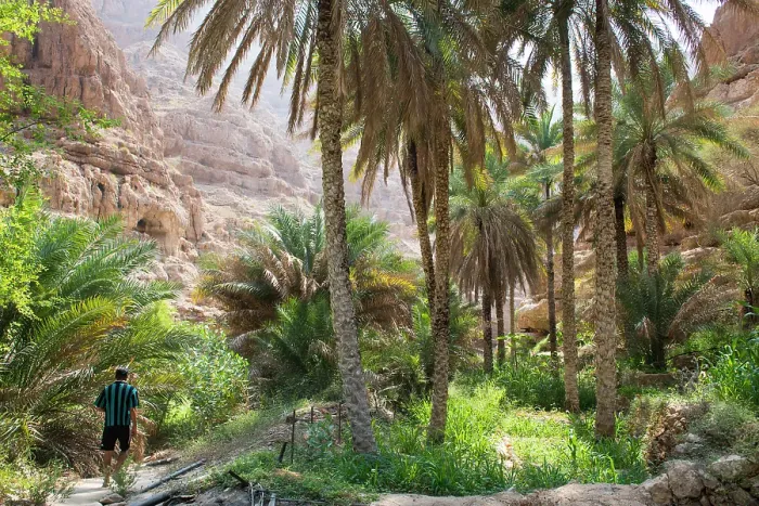 Framed Print : Wadi Shab, canyon near Tiwi, Sultanate of Oman, Arabian Peninsula Framed Print : Wadi Shab, canyon near Tiwi, Sultanate of Oman, Arabian Peninsula