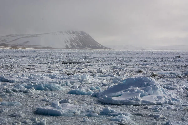 Wahlenberg fjord, Nordaustlandet, Svalbard Islands, Arctic, Norway, Europe