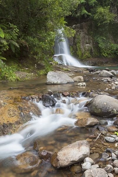 Waiau Falls on 309 Road, Coromandel Peninsula, Waikato, North Island, New Zealand, Pacific