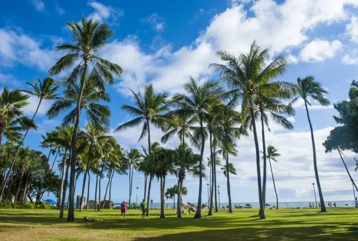 Framed Print : Waikiki Beach, Oahau, Hawaii, United States of America, Pacific Framed Print : Waikiki Beach, Oahau, Hawaii, United States of America, Pacific