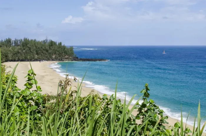 Framed Print : Waikoko Beach, Kauai, Hawaii, United States of America, Pacific Framed Print : Waikoko Beach, Kauai, Hawaii, United States of America, Pacific