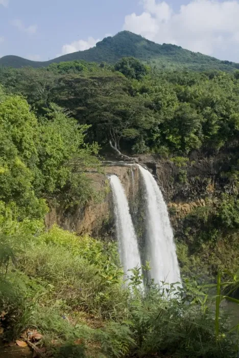Framed Print : Wailua Falls Framed Print : Wailua Falls