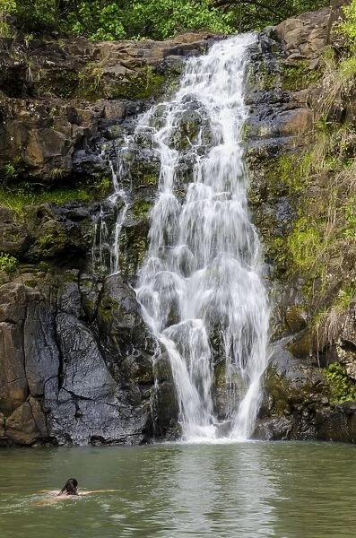 Waimea Falls, Waimea Valley Audubon Park, North Shore, Oahu, Hawaii, United States of America