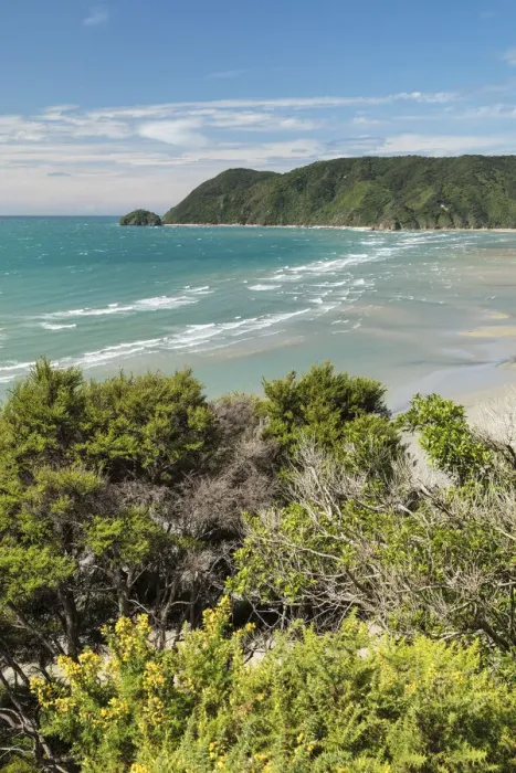 Framed Print : Wainui Bay, Golden Bay, Tasman, South Island, New Zealand, Pacific Framed Print : Wainui Bay, Golden Bay, Tasman, South Island, New Zealand, Pacific