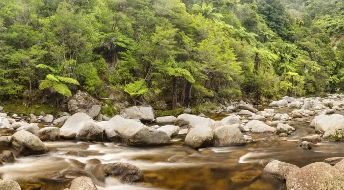 Framed Print : Wainui River, Wainui Falls Track, Golden Bay, Tasman, South Island, New Zealand, Pacific
